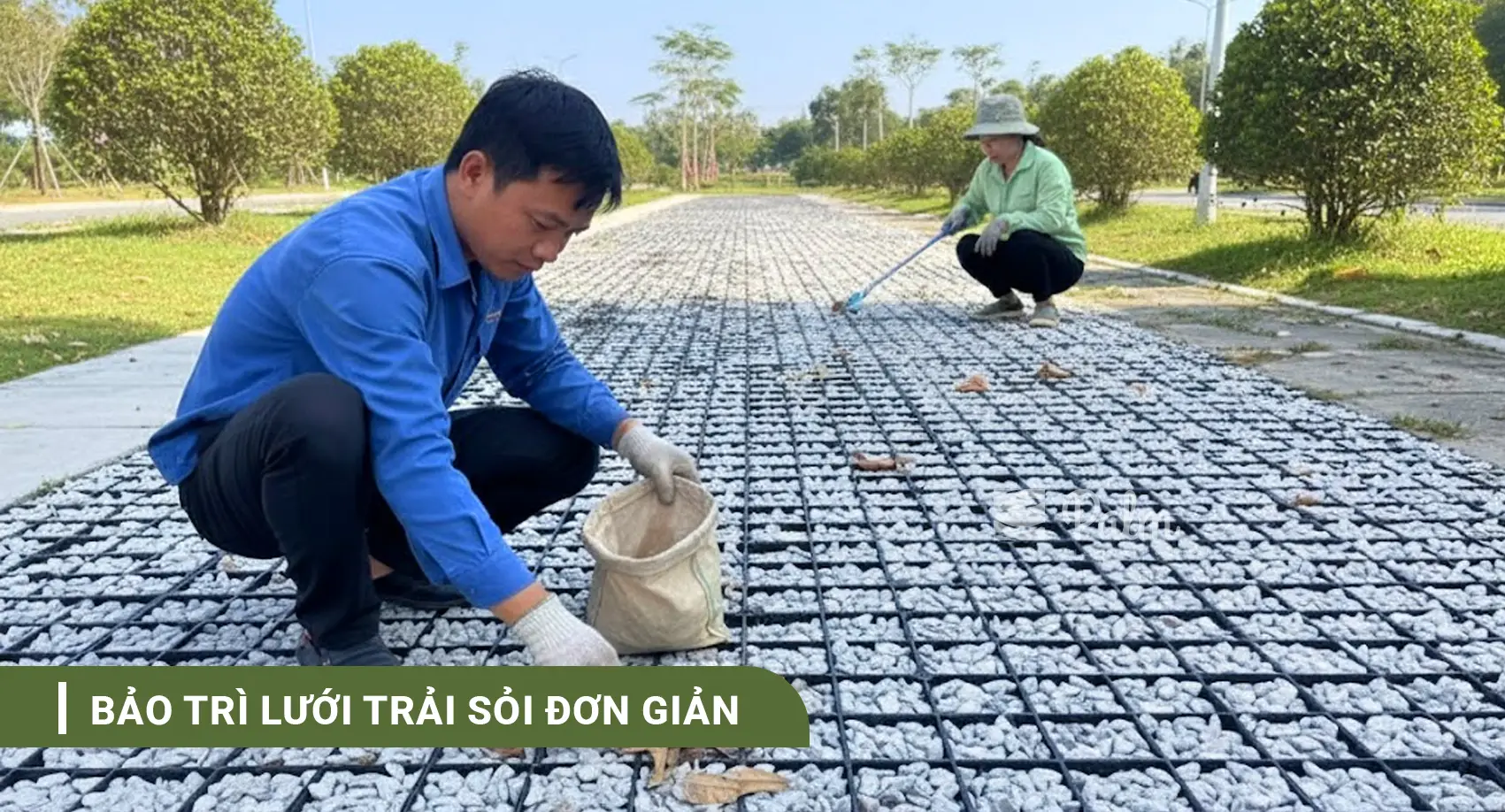 Vỉ nhựa trải sỏi bãi đậu xe | Tất tần tật về lợi ích, ứng dụng và cách lắp đặt